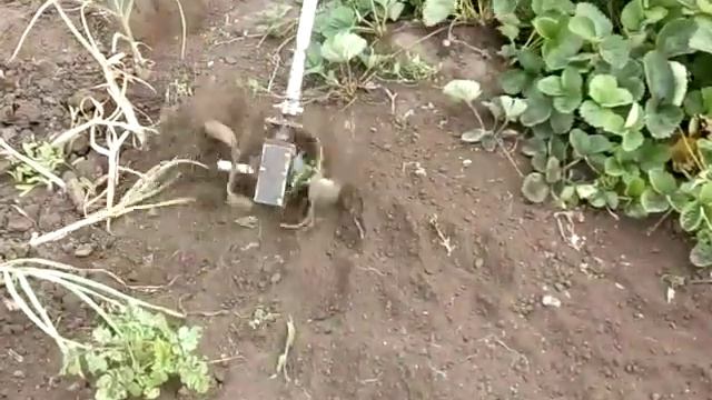 Насадка для моего триммера фреза культиватор