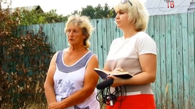 Около трех десятков свиней сгорели во время пожара в дачном товариществе «Сады 1» смотреть онлайн
