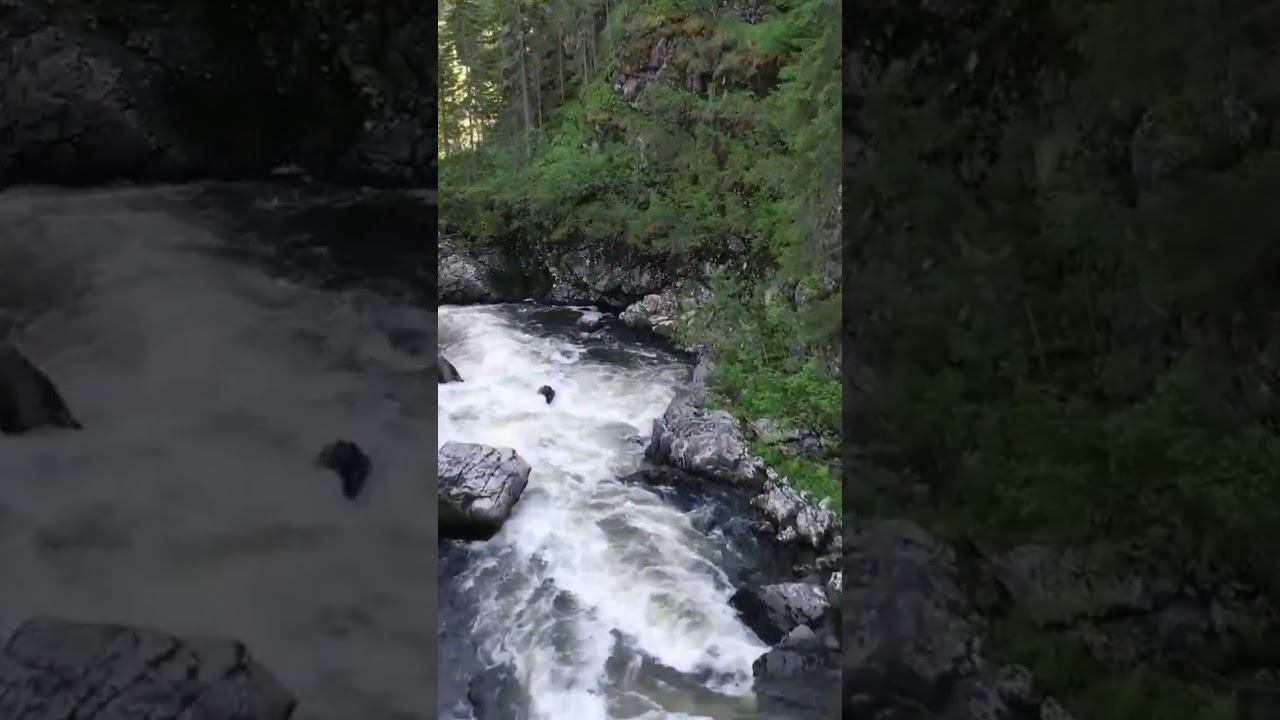 красивые пороги #dji #shots смотреть онлайн