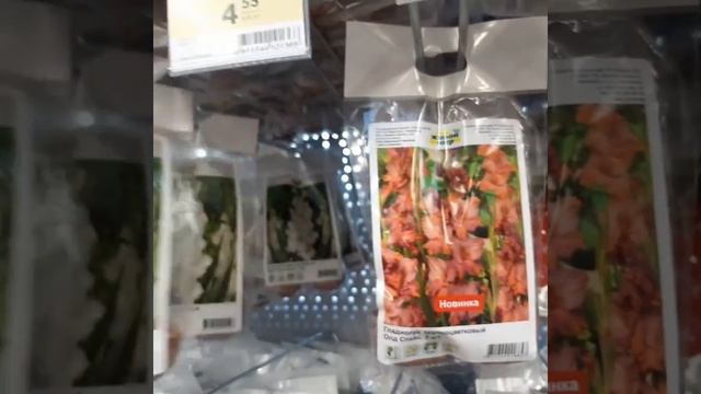 Обзор садовых растений в магазине материк город Минск. смотреть онлайн