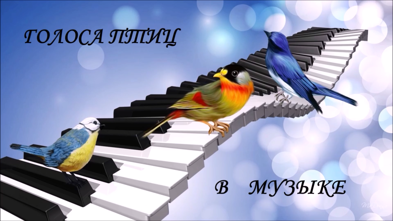Голоса птиц в музыке смотреть онлайн
