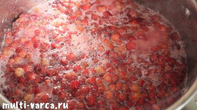 Животные в Зоопарках