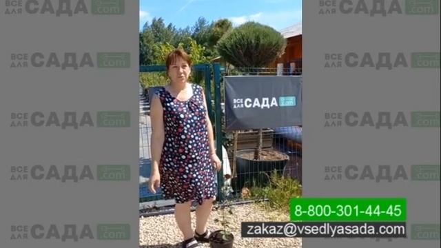 Видео отзыв о питомнике Все для Сада очень все понравилось, отзывчивый персонал смотреть онлайн