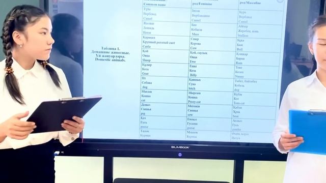 Презентация проекта смотреть онлайн