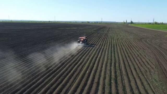 Подкормка картофеля Туманом смотреть онлайн