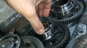 КПП SKANDIC 600ACE SWT !!!РАЗБОРКА