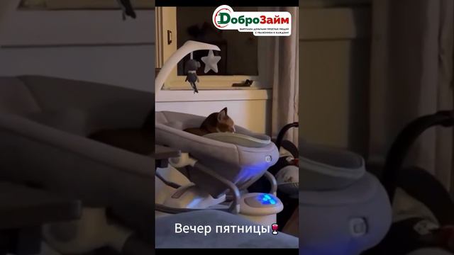 Вечер пятницы