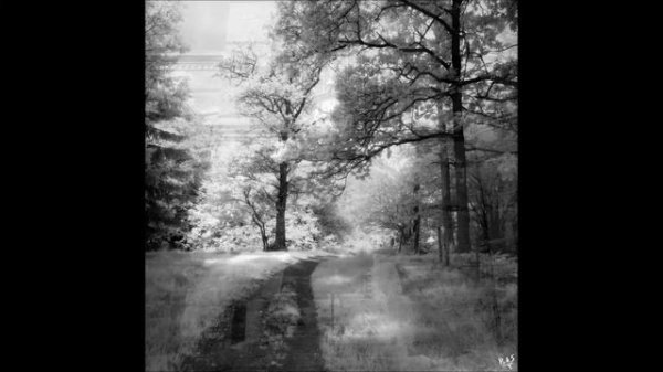 Carl Zeiss Jena DDR MC Flektogon 50mm f/4 (6x6 Sample pictures)