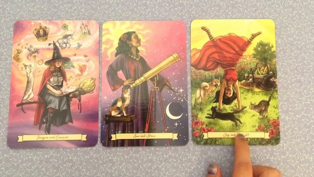 My Experience with the Everyday Witch Oracle смотреть онлайн