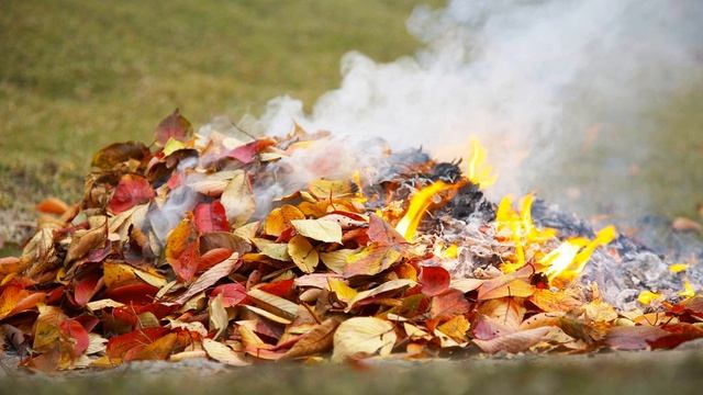 Грустная Песня на стихи неизвестного автора (кавер) смотреть онлайн