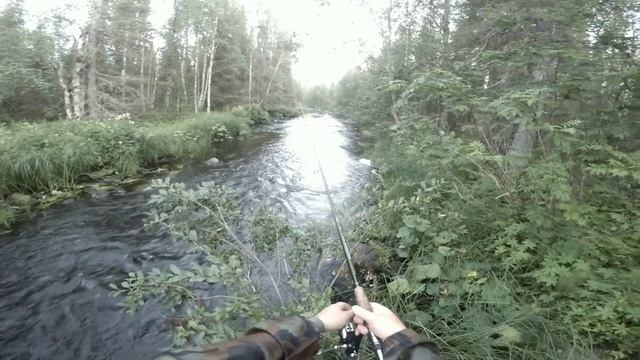 РЫБАЛКА в УМБЕ в июле. На речку за кумжей."Umba 2020g. To the river beyond the kumzha." смотреть онлайн