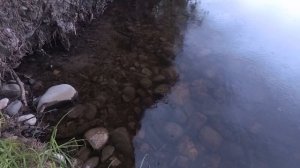 Километры Карелии часть 3-я Путешествие на мотоцикле Урал