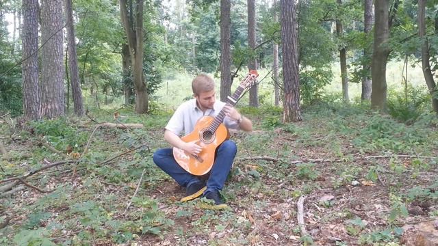 Might And Magic VII - Erathia Guitar Cover смотреть онлайн