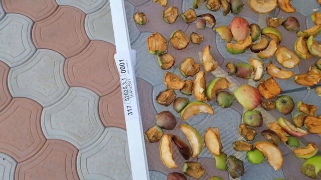 Сушилка для овощей и фруктов. Простая сушилка своими руками. смотреть онлайн