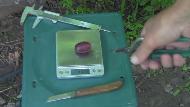 @Виноград Бешевский Хороший виноград, вкусный виноград смотреть онлайн