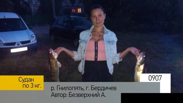 Фотоальбом - Рыбалка №181 смотреть онлайн