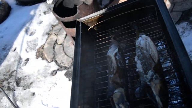 Что будет со скумбрией если коптить более 70 градусов смотреть онлайн