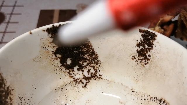 ☕ Гадание на кофейной гуще | Чашка дня | ДоброУтреннийПрогноз??27 октября 2020 г. смотреть онлайн