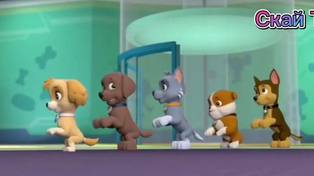 Клип Гонщик и Скай -лучшая подруга смотреть онлайн