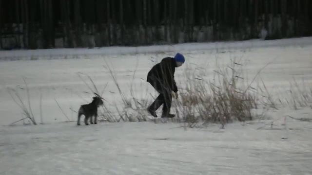 На озере ) смотреть онлайн