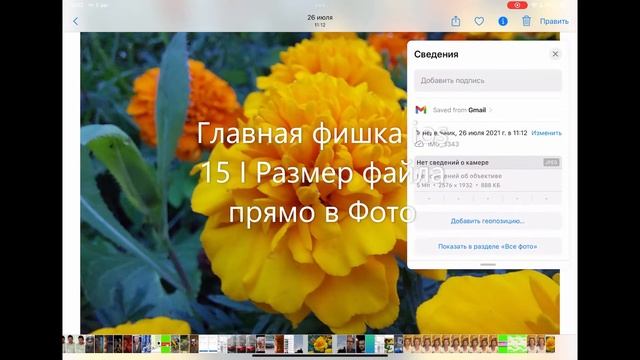Главная фишка iOS 15 I Размер файла прямо в Фото смотреть онлайн