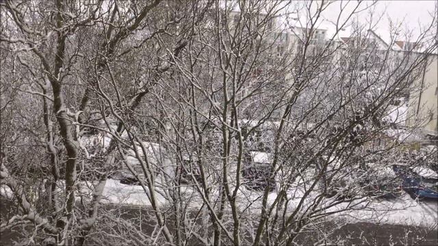 Первый снег. Erste Schnee. смотреть онлайн