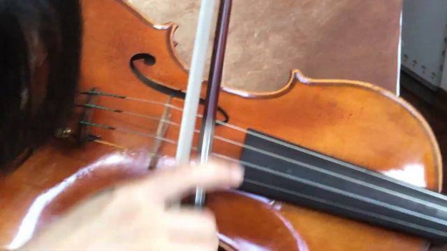 Ifstrings Private Stock VSA #159 Guarneri del Gesu 1742 "Lord Wilton"-2 смотреть онлайн