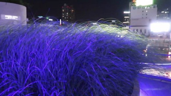 Путешествие подруги в КОРЕЕ продолжается