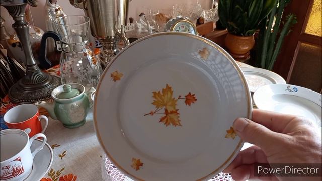 Новинки посуды, в лес за грибами, огород!!!