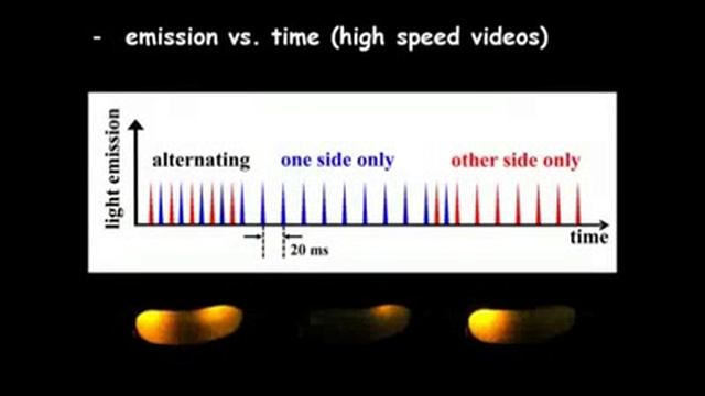 Light emitting pickles смотреть онлайн