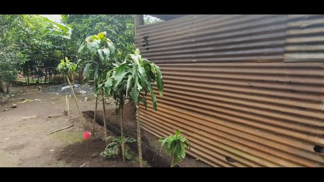 Doña Antonina nos sorprendió con ésta decisión смотреть онлайн