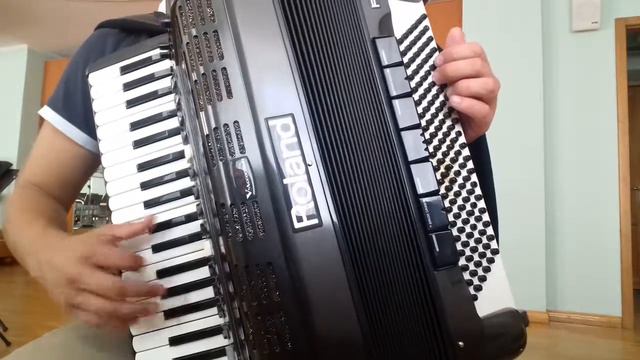 Star-accordion  Perfomance
