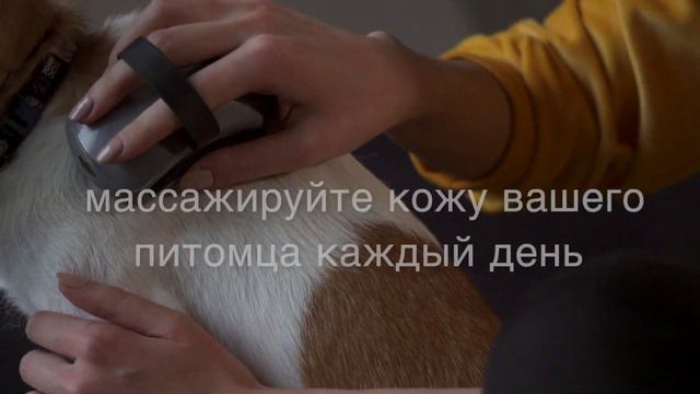 Резиновая расческа FURminator смотреть онлайн