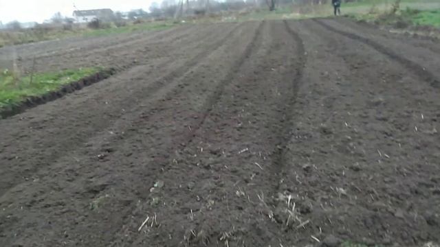 Беларусь/ Садим Чеснок и Лук на Зиму/ Второй Огород смотреть онлайн