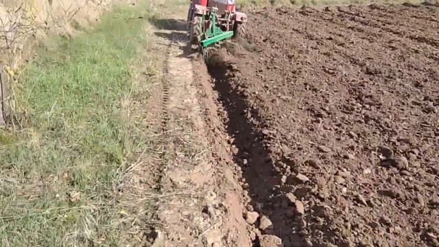 Оранка трактором "Прикарпатець" з трьохкорпусним плугом! Осінь 2020! смотреть онлайн