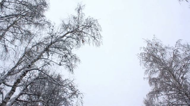 Снег, снег, всюду снег... смотреть онлайн