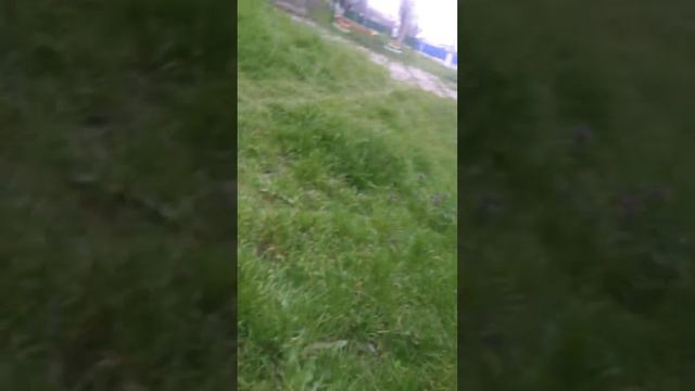 (ГИЕНА-25)ВТОРОЙ КАНАЛ смотреть онлайн