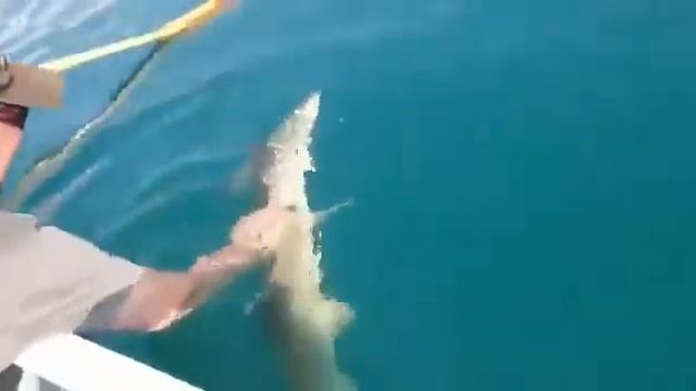 Двойная удача на рыбалке смотреть онлайн