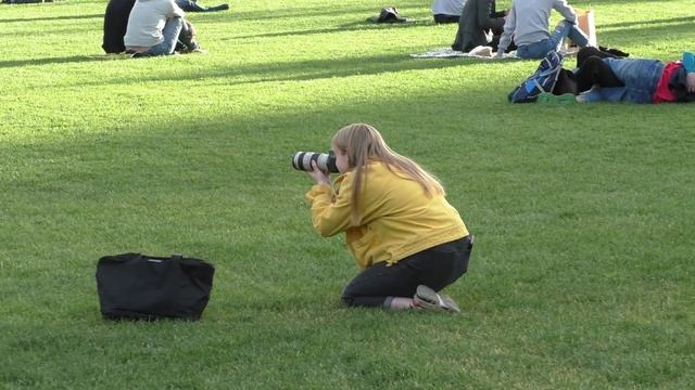 Обновлённая Новая Голландия смотреть онлайн