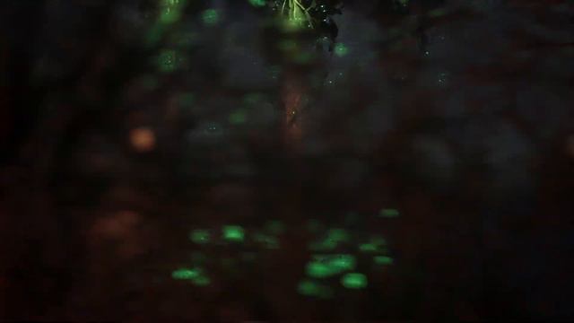 Hogwarts Legacy prüfung Merlins im Schloss Falbarton смотреть онлайн