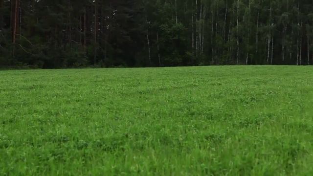 Дисковая задненавесная косилка Samba 280 смотреть онлайн