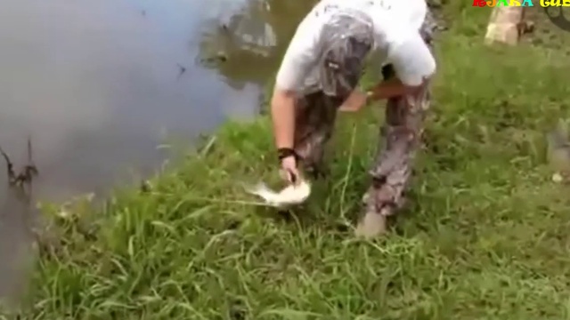 Подборка случаев на рыбалке. смотреть онлайн
