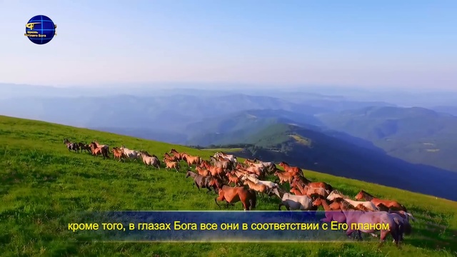 Слова Христа Последних дней «Сам Бог уникален. Часть I Власть Бога (I) Глава 2» смотреть онлайн