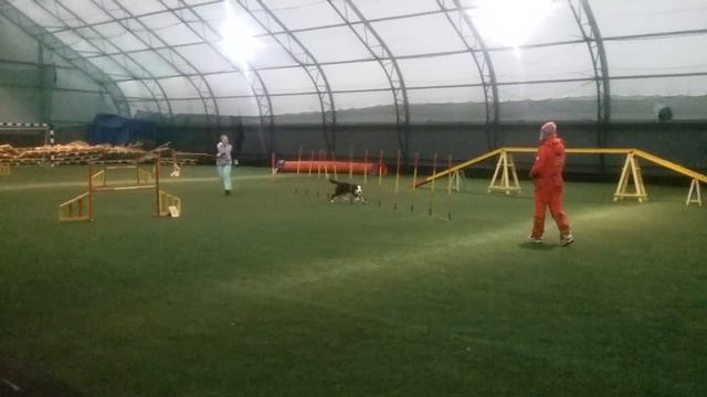 05.01.17 Рождественские А2 Катя и Варг 1(2) смотреть онлайн