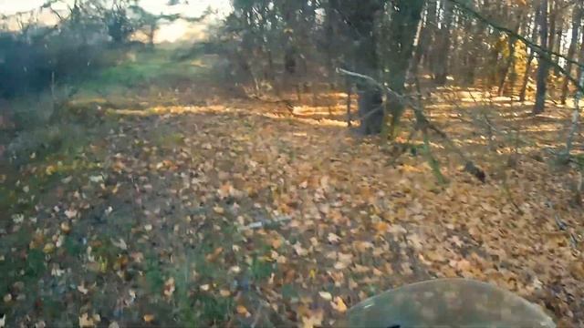 offroad Suzuki V-strom Актовский каньон и Кицевская пустыня смотреть онлайн