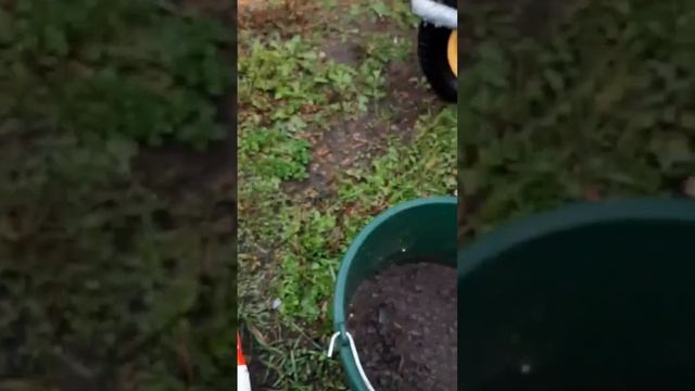 посадка тюльпанов смотреть онлайн