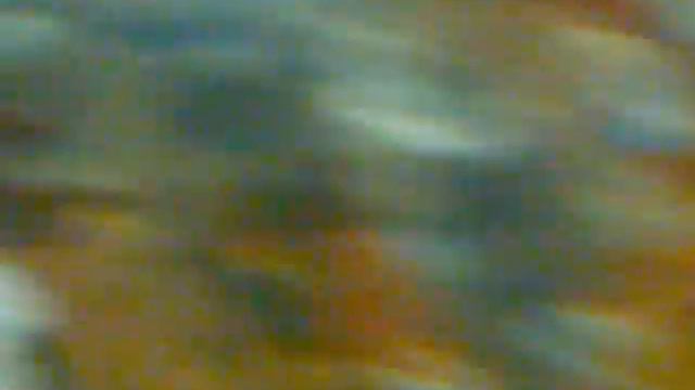 крабы тоже любят мандарины на новый год.mp4 смотреть онлайн