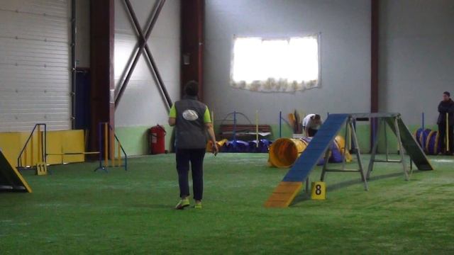 Федорова Мария и метис Фокс. Первенство СПб. Аджилити смотреть онлайн
