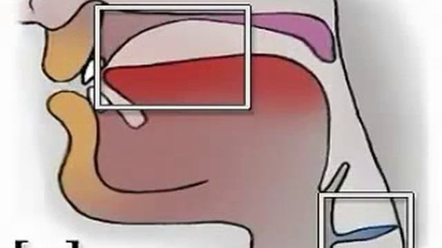 Артикуляция звука Л