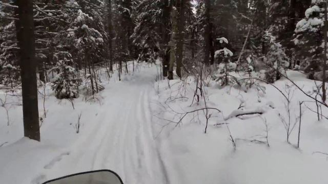 2015 Pantera 7000 2017 north day 3 solo trip смотреть онлайн